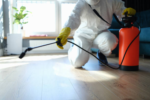 Reliable Odor Removal contractor in Lowell, MI by Trauma Clean Pros